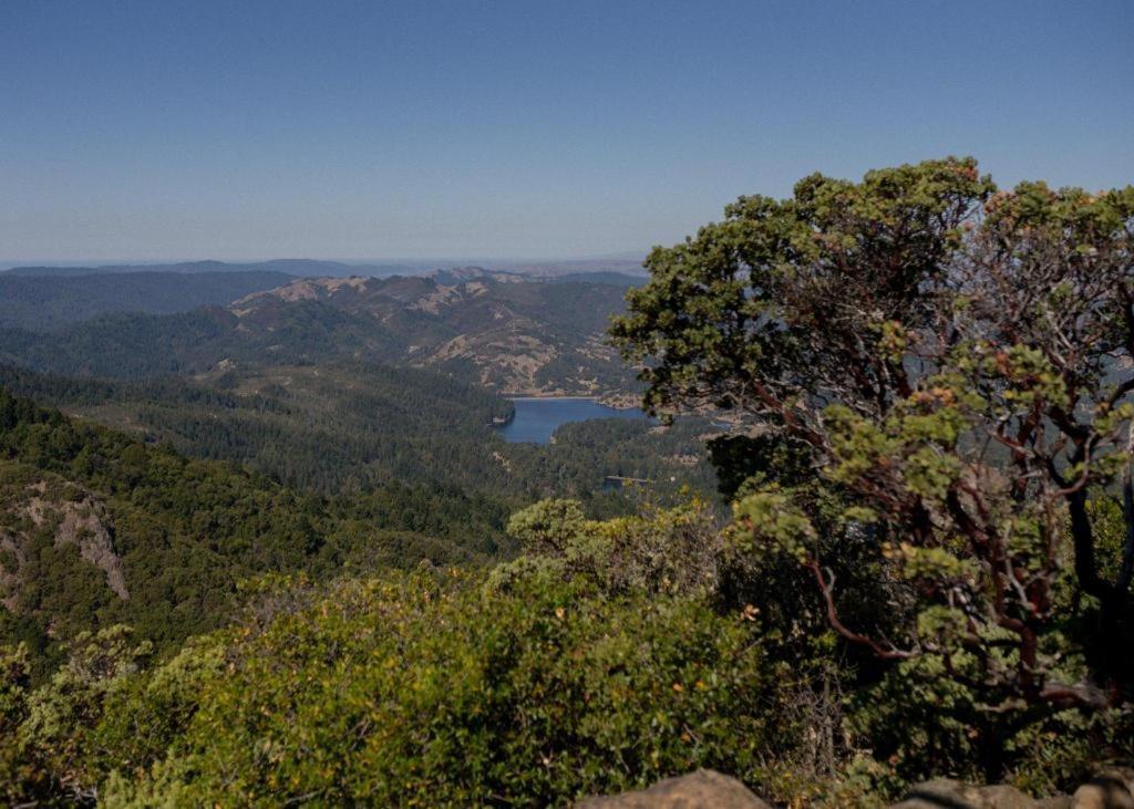 Marin Suites Hotel Corte Madera Bagian luar foto